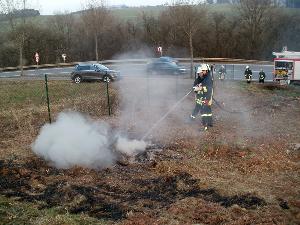 Bild: Die Wurzel eines gefällten Baums war in Brand geraten