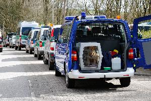 Bild: Eine große Zahl Helfer unterstützte bei der Suche (Foto: Lukas Becker)