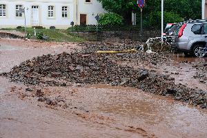 Bild: (Foto: Gerd Maron)