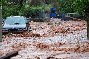 Bild: (Foto: Gerd Maron)