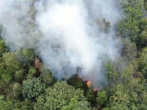 Bild: Gro&amp;szlig;er Vegetationsbrand auf einer Bergehalde bei Wiebelskirchen (Foto: Andreas Kuhn - Landkreis Neunkirchen)