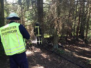 Bild: Der beginnende Waldbrand konnte schnell gel&amp;ouml;scht werden