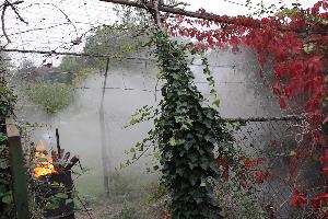 Bild: Brand im Bereich des Schuppens