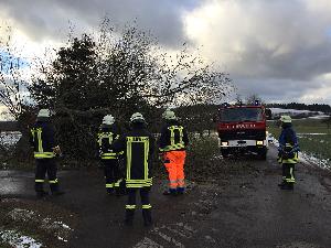 Bild: