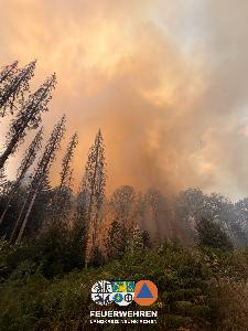 Bild: Waldbrand im Hosterwald: 78 Stunden gemeinsam gegen die Flammen
