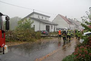 Bild: Der Baum verfehlte geparkte Fahrzeuge und Wohngebäude