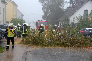 Bild: Der Baum wurde zerkleinert und die Fahrbahn freigeräumt