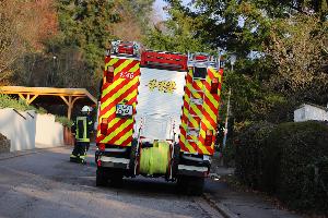 Bild: (Foto: Carsten Klein)