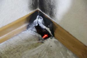 Bild: Gut waren glühende Holzrest zu erkennen