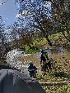 Bild: