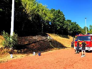 Bild: Circa 150 qm Wiesenfläche brannten durch den fahrlässigen Einsatz von Gasbrennern