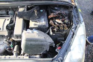 Bild: Der Schmorbrand im Motorraum konnte noch vor Eintreffen der Feuerwehr gelöscht werden