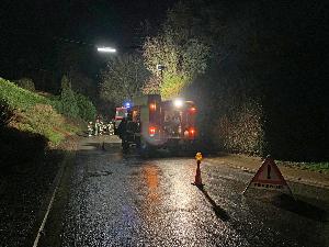 Bild: Die Feuerwehr musste mehrmals wegen umgest&amp;uuml;rzter B&amp;auml;ume ausr&amp;uuml;cken