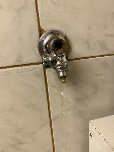 Bild: Auslöser des Feuerwehreinsatzes war ein abgerissener Wasserhahn im Keller