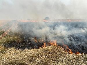 Bild: Stoppelfeld brannte im Ortsteil Wiesbach