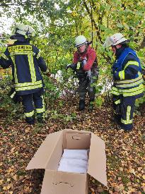Bild: Verletzter Wildvogel aus Schlossweiher gerettet