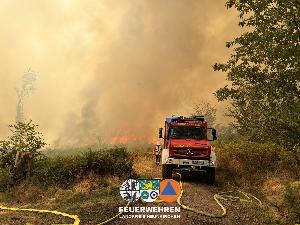Bild: Waldbrand im Hosterwald: 78 Stunden gemeinsam gegen die Flammen