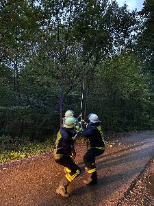 Bild: