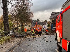 Bild: Die Feuerwehr musste zahlreiche umgest&amp;uuml;rzte B&amp;auml;ume beseitigen