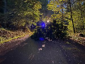Bild: