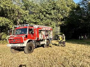 Bild: Vegetationsbrand zwischen Dirmingen und Berschweiler