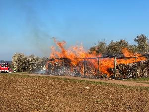 Bild: Ein 20 x 10 Meter gro&amp;szlig;es Holzlager stand in Vollbrand