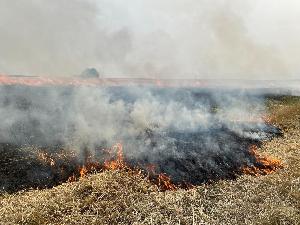 Bild: Stoppelfeld brannte im Ortsteil Wiesbach