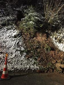 Bild: