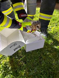 Bild: Tierrettung in der St. Laurentiusstraße