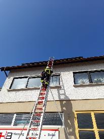 Bild: Feuerwehr rettet Katze von Dach