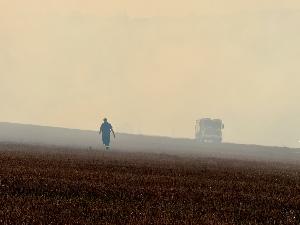 Bild: Waldbrand zwischen Bubach und Landsweiler